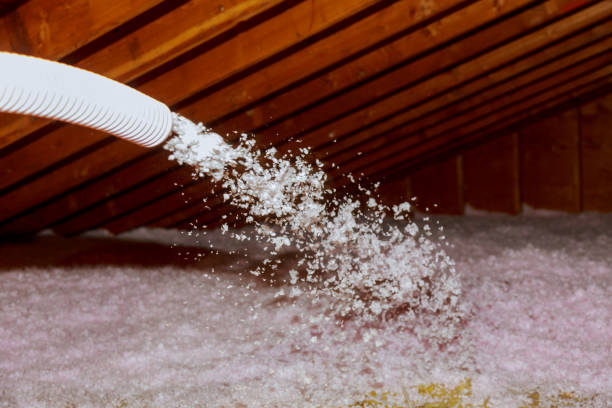 Best Energy Efficiency Solutions in Carencro, LA