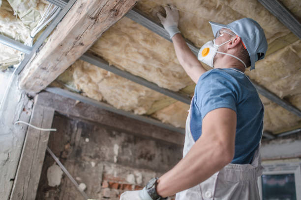 Best Types of Insulation in Carencro, LA