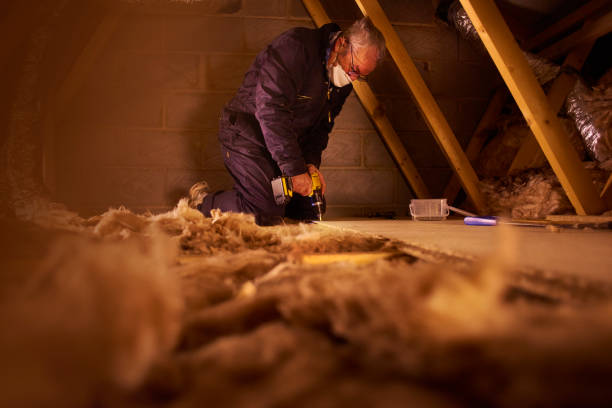 Best Insulation Materials and Products in Carencro, LA